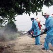 Dịch Vụ Diệt Muỗi Tại Quảng Ninh: Giải Pháp Hiệu Quả Cho Sức Khỏe Cộng Đồng