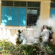 Tư Vấn Lựa Chọn công ty Dịch Vụ Diệt Muỗi Tại Hà Nam