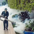Dịch vụ diệt muỗi tại Nam Định: Bảo vệ sức khỏe và an toàn cho gia đình