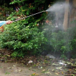 Dịch vụ diệt muỗi tại Thái Bình: Bảo vệ sức khỏe gia đình bạn trong mùa hè